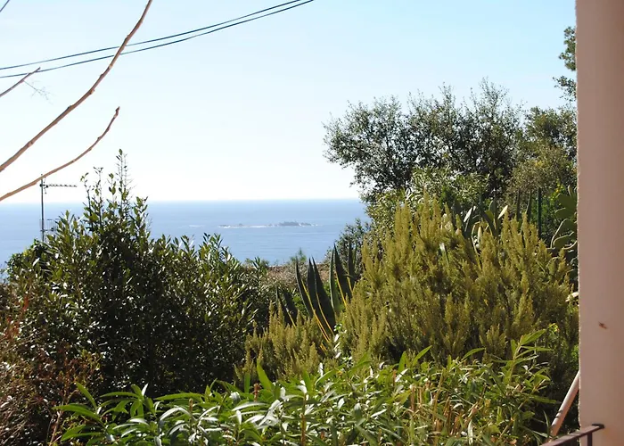 Mistral - 322 * Llafranc